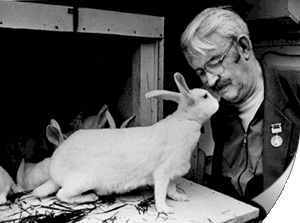 Изобретатель акселерационного кролиководства Игорь Николаевич Михайлов со своими питомцами